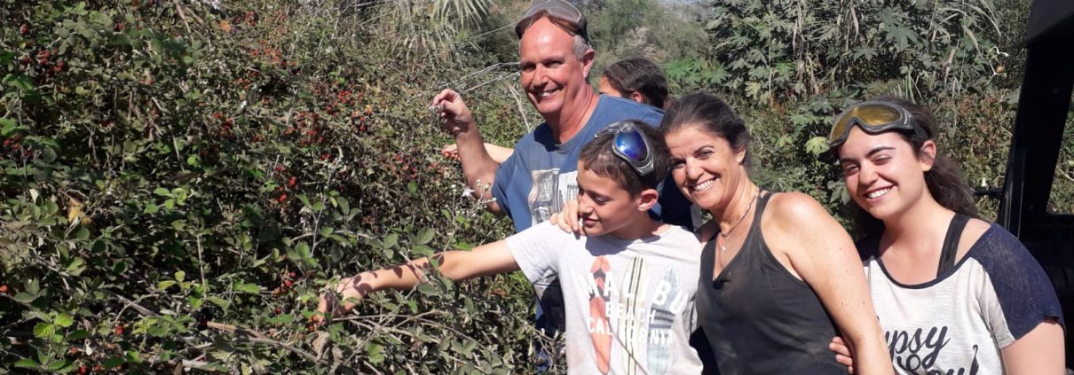 יום כיף לעובדים בצפון
